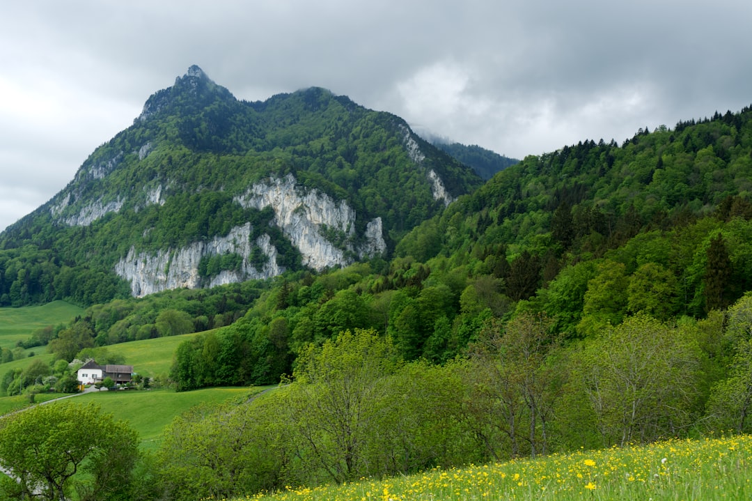 Ruches traditionnelles dans un paysage montagneux du Jura