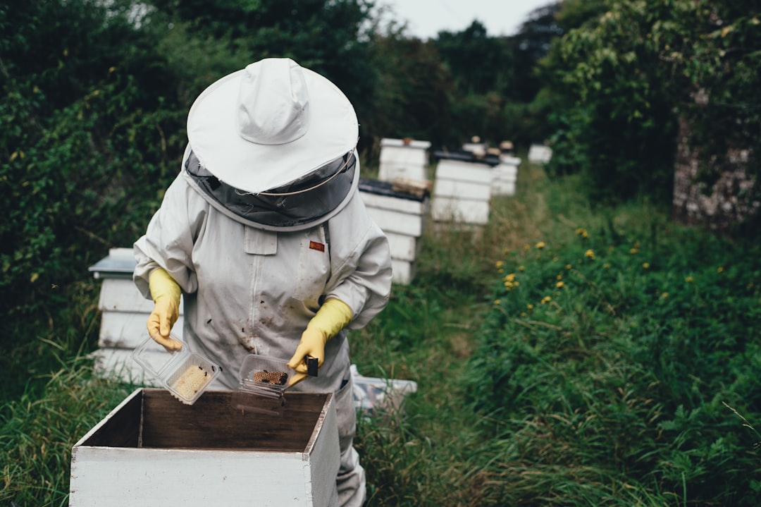 Apiculteur devant des ruches avec des pots de miel artisanal